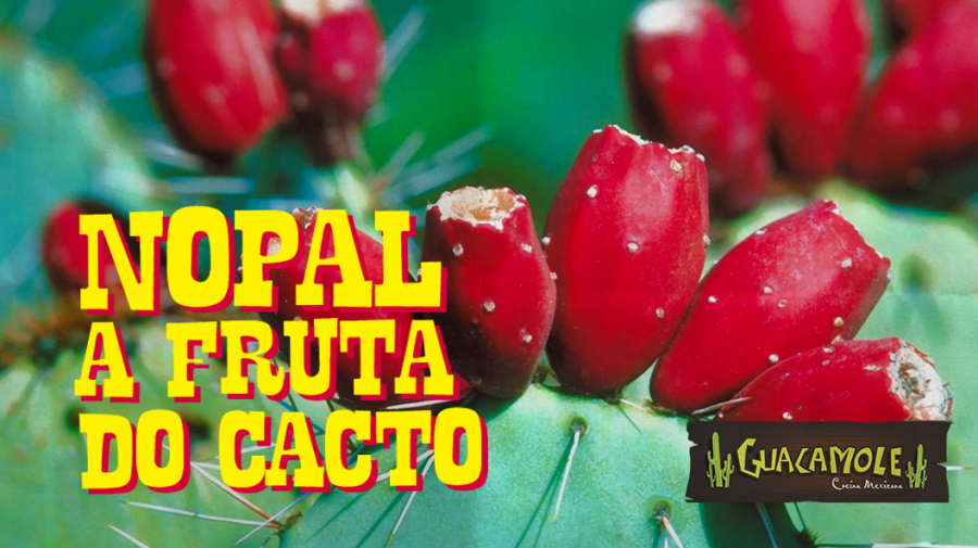 Nopal, a fruta comestível do cacto - Guacamole Cocina Mexicana