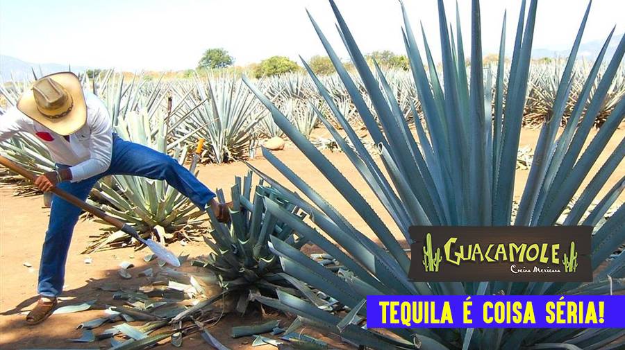 Tequila é coisa séria!